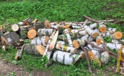 Бесплатные дрова: берёза, липа, осина, ель, дуб и сосна в Городском парке Красногорска и в ДГ «Сказочный».